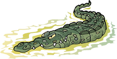 kroko-logo-florian-illustration